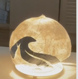 Endelig demo med varmt lys og rolig uttrykk